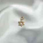 Colgante Estrella de David Oro 18k